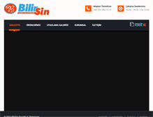 Tablet Screenshot of bilirsineklik.com